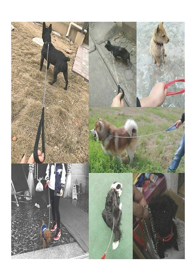 Pups&Pets طوق كلاب متين من Pups&Pets، طوق كلاب معدني بسلسلة ومقبض للكلاب الصغيرة والمتوسطة الحجم (المقاس - متوسط، متعدد الألوان) - Image 4